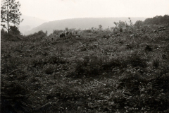 SVS002-1